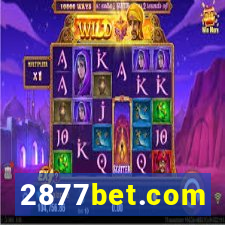 2877bet.com