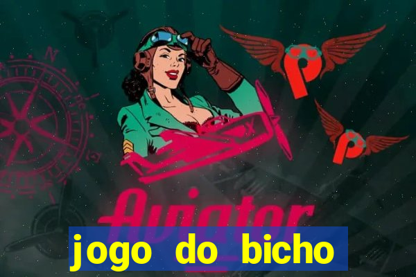 jogo do bicho crash bingo