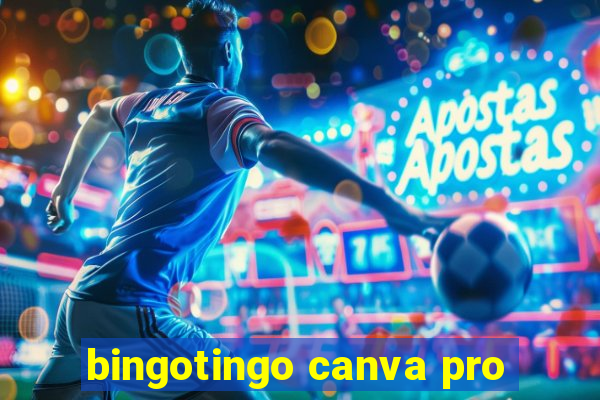 bingotingo canva pro