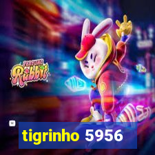 tigrinho 5956