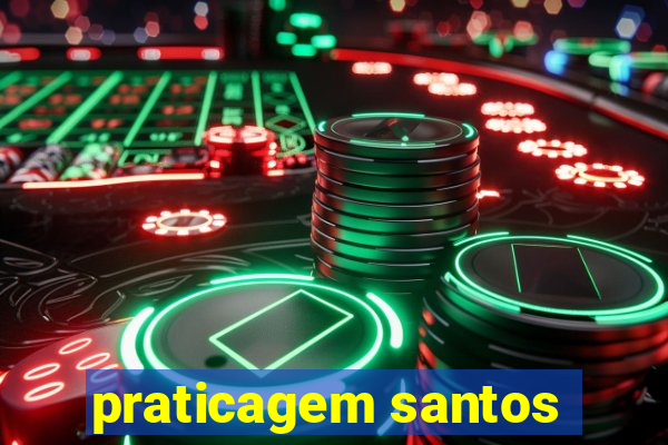 praticagem santos