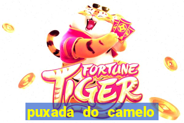 puxada do camelo no jogo do bicho