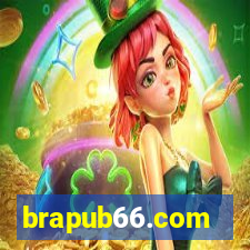 brapub66.com