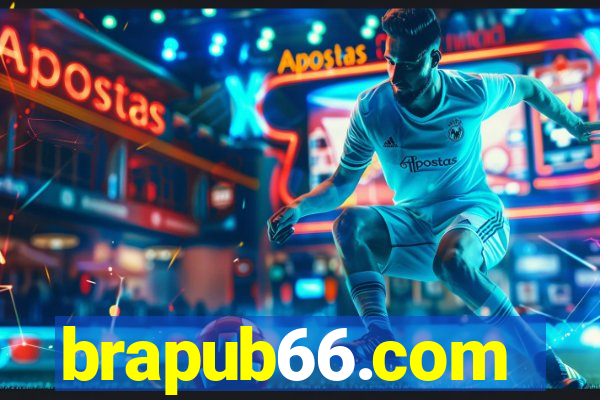 brapub66.com