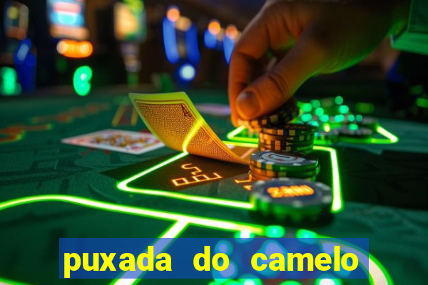 puxada do camelo jogo do bicho