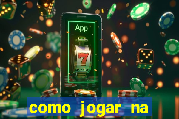 como jogar na lotinha do jogo do bicho